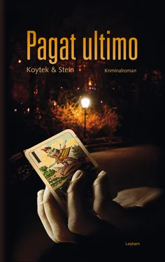 Georg Koytek Pagat ultimo обложка книги