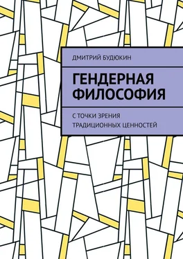 Дмитрий Будюкин Гендерная философия. С точки зрения традиционных ценностей обложка книги