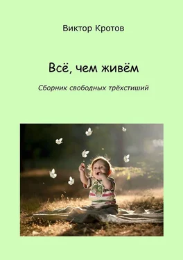 Виктор Кротов Всё, чем живём. Сборник свободных трёхстиший обложка книги