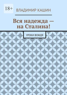 Владимир Кашин Вся надежда – на Сталина! Уроки вождя обложка книги