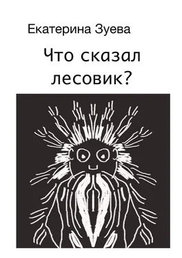 Екатерина Зуева Что сказал лесовик? обложка книги