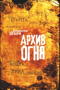 Владимир Шали Архив огня обложка книги