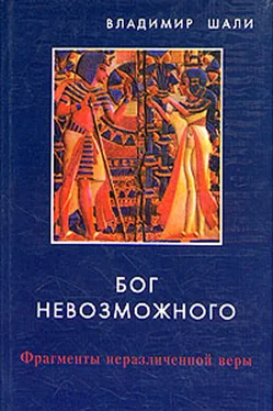 Владимир Шали Бог невозможного обложка книги