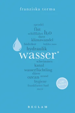 Franziska Torma Wasser. 100 Seiten обложка книги