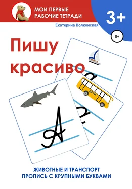 Екатерина Волконская Пишу красиво. Мои первые рабочие тетради обложка книги