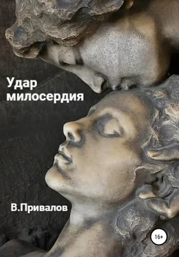 Владимир Привалов Удар милосердия обложка книги