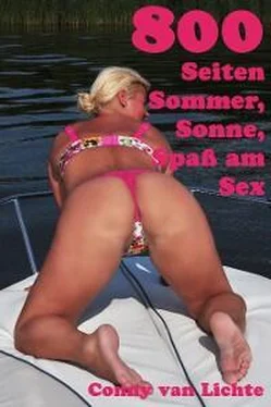 Conny van Lichte 800 Seiten Sommer, Sonne, Spaß am Sex обложка книги