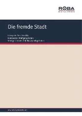 Wolfgang Kähne Die fremde Stadt обложка книги