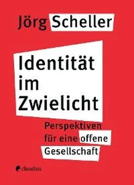 Jörg Scheller Identität im Zwielicht обложка книги