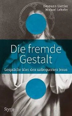 Michael Lehofer Die fremde Gestalt обложка книги