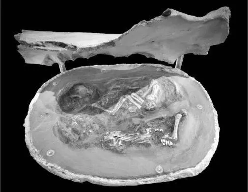 Seltener Fund aus KremsWachtberg ausgestellt im Naturhistorischen Museum - фото 8
