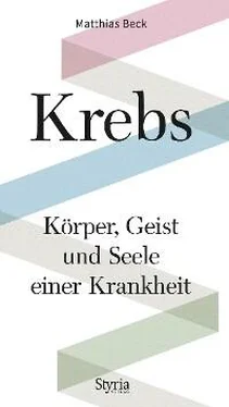 Matthias Beck Krebs обложка книги