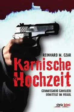Reinhard M. Czar Karnische Hochzeit обложка книги