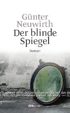 Günter Neuwirth Der blinde Spiegel обложка книги