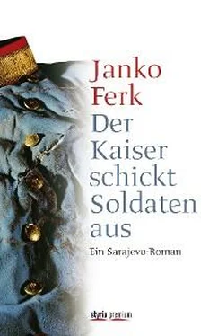 Janko Ferk Der Kaiser schickt Soldaten aus обложка книги