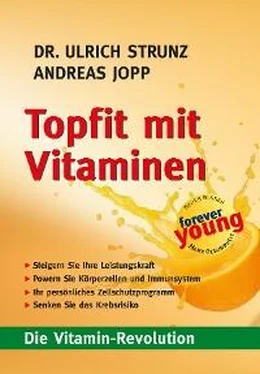 Andreas Jopp Topfit mit Vitaminen обложка книги