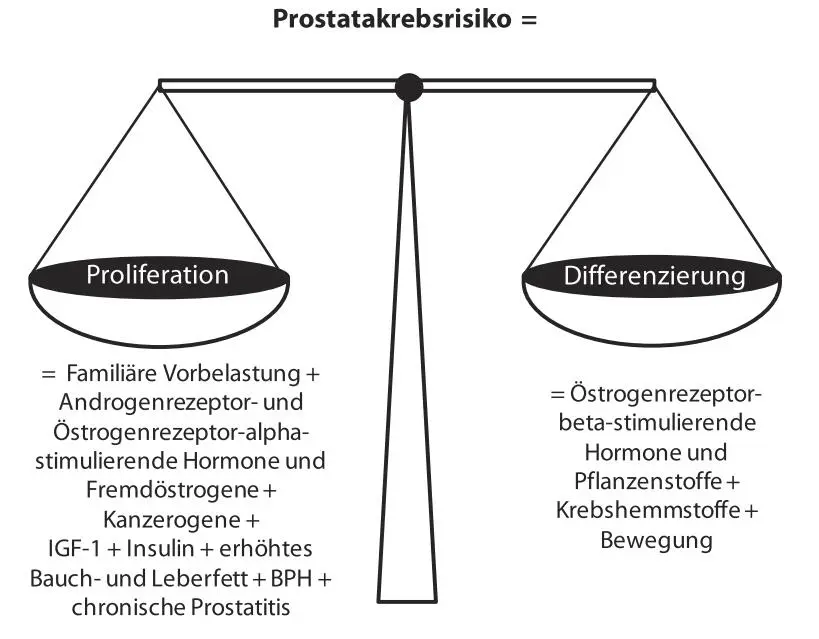 Abb 5 Einflussfaktoren auf das Gleichgewicht aus Proliferation und - фото 5