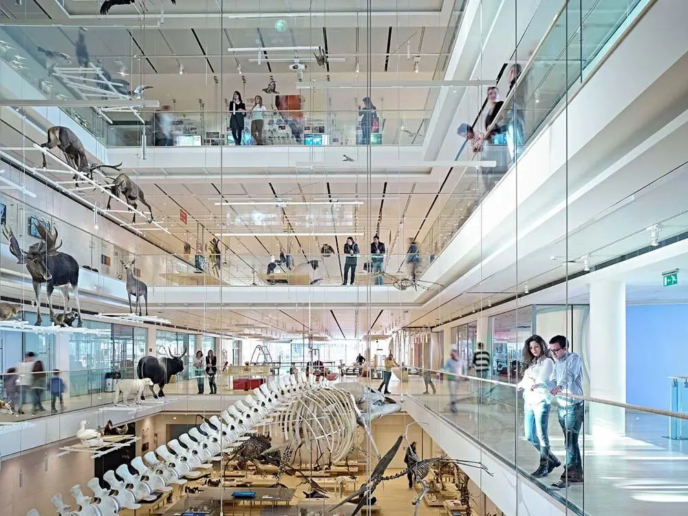 DinosaurierSkelett und weitere Da hängt es nun von der Decke herab riesig - фото 67