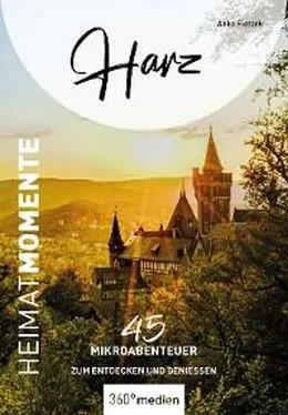 Anke Fietzek Harz – HeimatMomente обложка книги