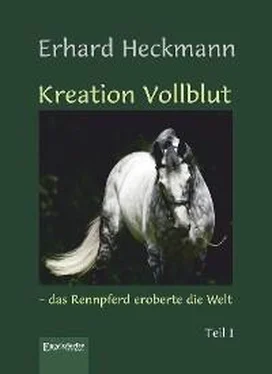 Erhard Heckmann Kreation Vollblut – das Rennpferd eroberte die Welt (Band 1) обложка книги
