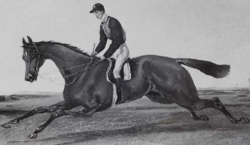 Der 1862 vom CteF de Lagrange gezogene Gladiateur gewann Englands Triple - фото 8