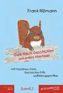 Frank Rißmann Gute-Nacht-Geschichten und andere Abenteuer mit Haselnuss-Hans, Buchecker-Fritz und Kienappel-Max (BAND 2) обложка книги