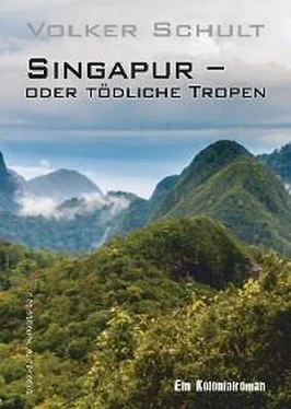 Volker Schult Singapur – oder tödliche Tropen обложка книги