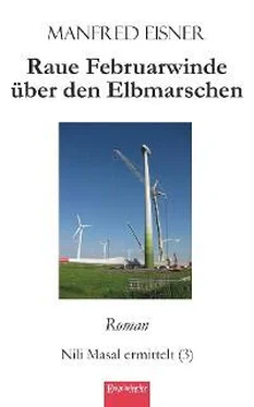 Manfred Eisner Raue Februarwinde über den Elbmarschen обложка книги