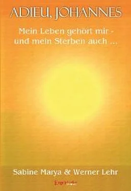 Sabine Marya Adieu, Johannes обложка книги
