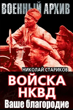 Николай Стариков Ваше благородие обложка книги