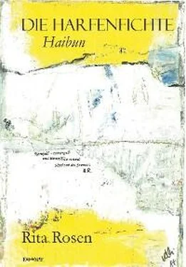 Rita Rosen Die Harfenfichte обложка книги