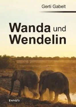Gerti Gabelt Wanda und Wendelin обложка книги