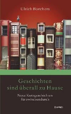 Ulrich Borchers Geschichten sind überall zu Hause обложка книги