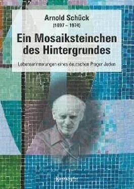 Arnold Schück Ein Mosaiksteinchen des Hintergrundes обложка книги