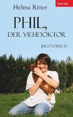 Helma Ritter Phil, der Viehdoktor обложка книги