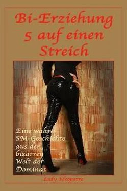 Lady Kleopatra Bi-Erziehung - 5 auf einen Streich обложка книги