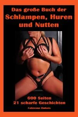 Fabienne Dubois Das große Buch der Schlampen, Huren und Nutten обложка книги