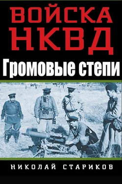 Николай Стариков Громовые степи обложка книги