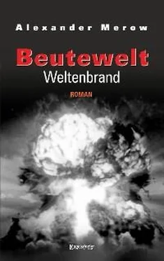 Alexander Merow Beutewelt VII: Weltenbrand обложка книги