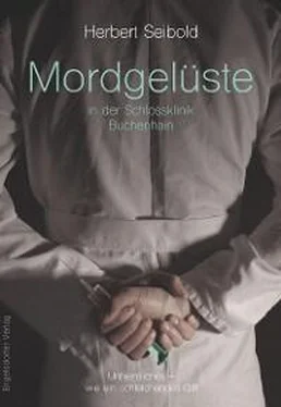 Herbert Seibold Mordgelüste in der Schlossklinik Buchenhain обложка книги