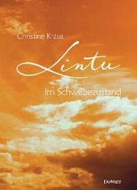 Christine Kraus Lintu обложка книги