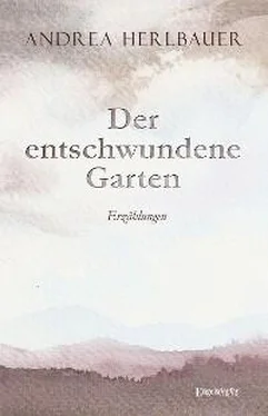 Andrea Herlbauer Der entschwundene Garten обложка книги