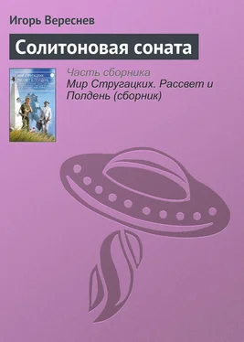 Игорь Вереснев Солитоновая соната обложка книги