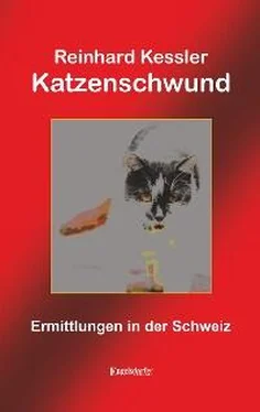 Reinhard Kessler Katzenschwund обложка книги