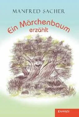 Manfred Sacher Ein Märchenbaum erzählt обложка книги