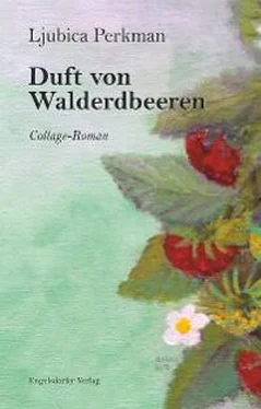 Ljubica Perkman Duft von Walderdbeeren обложка книги