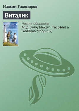 Максим Тихомиров Виталик обложка книги