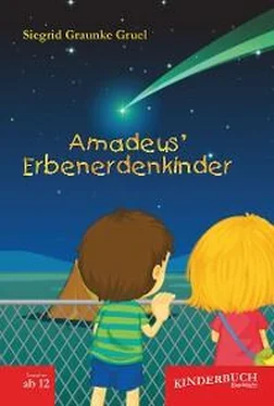 Siegrid Graunke Gruel Amadeus’ Erbenerdenkinder обложка книги