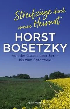 Horst Bosetzky Streifzüge durch meine Heimat обложка книги