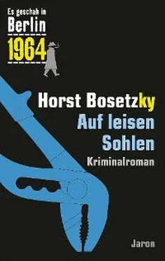 Horst Bosetzky Auf leisen Sohlen обложка книги